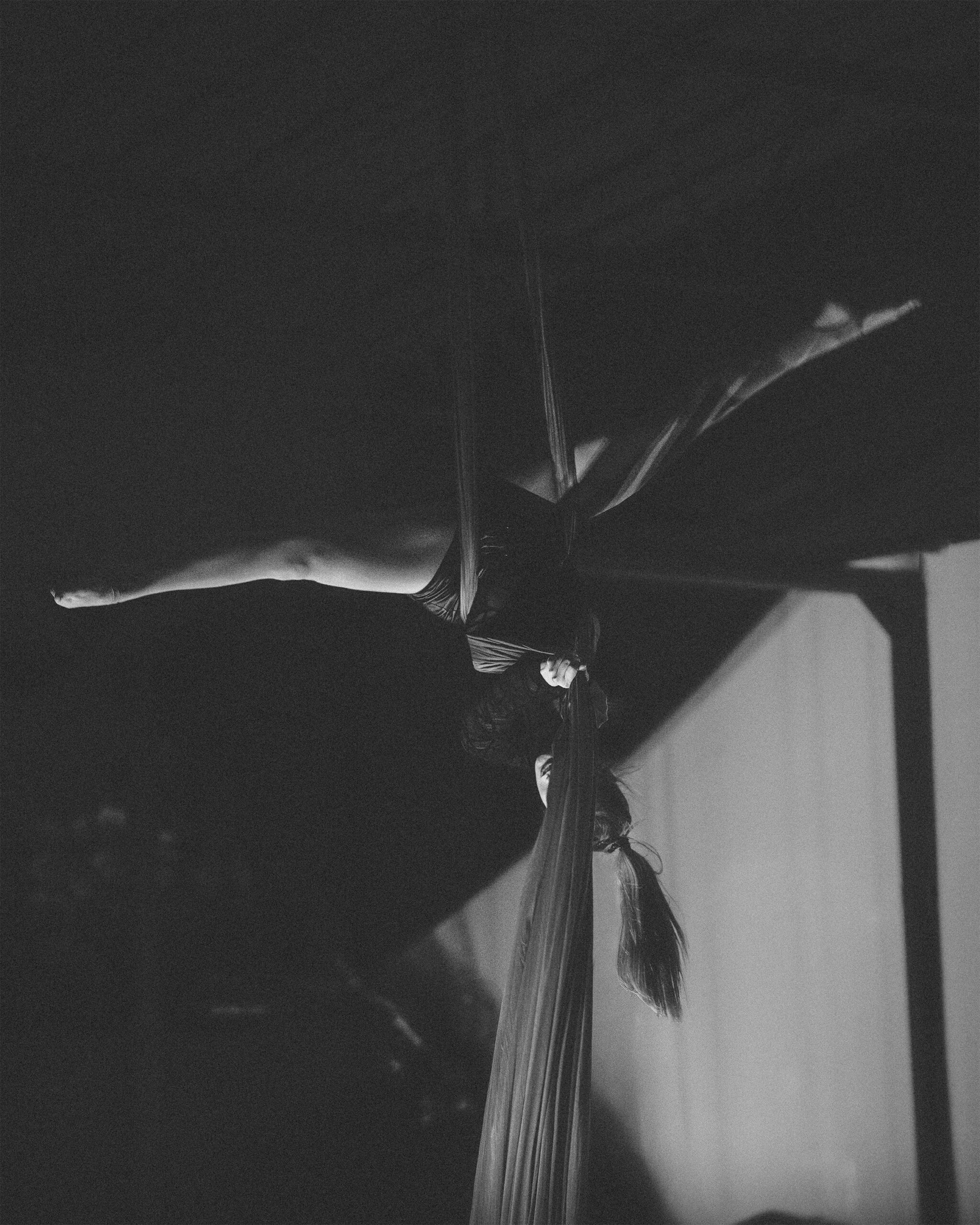DSC08394b