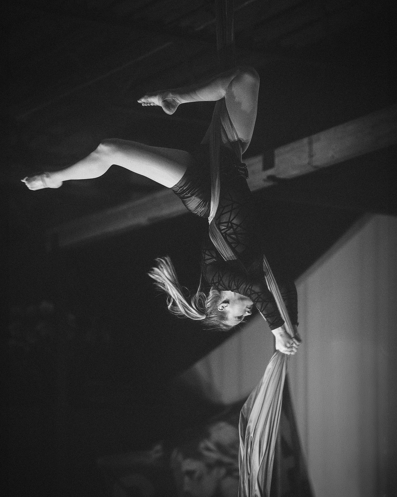DSC08396 DSC08396